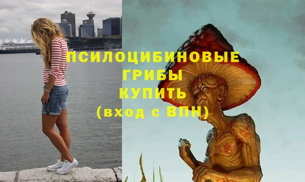 не бодяженный Алексин
