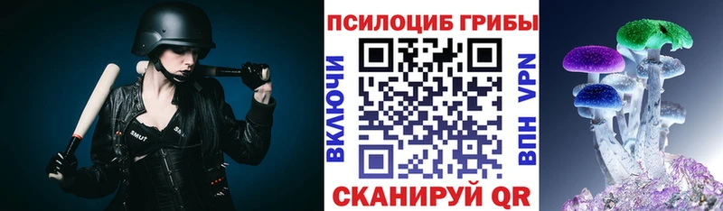 нарко площадка наркотические препараты  закладки  Петушки  Псилоцибиновые грибы GOLDEN TEACHER 